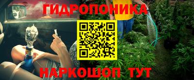кокс Гусь-Хрустальный
