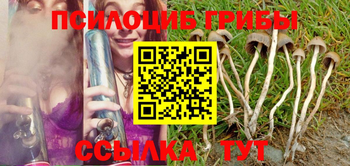Псилоцибиновые грибы Magic Shrooms Кинешма