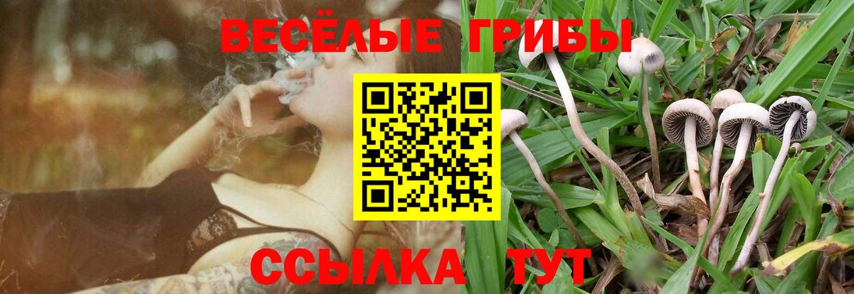 Галлюциногенные грибы прущие грибы  Вход с VPN  продажа наркотиков  Кинешма  Псилоцибиновые грибы мухоморы 